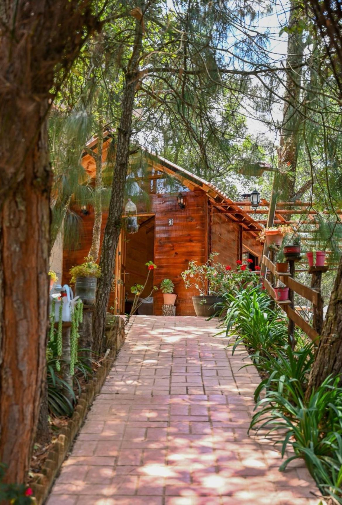 San Jose Del Pacifico- Cabanas Camino Al Cielo 3 エクステリア 写真