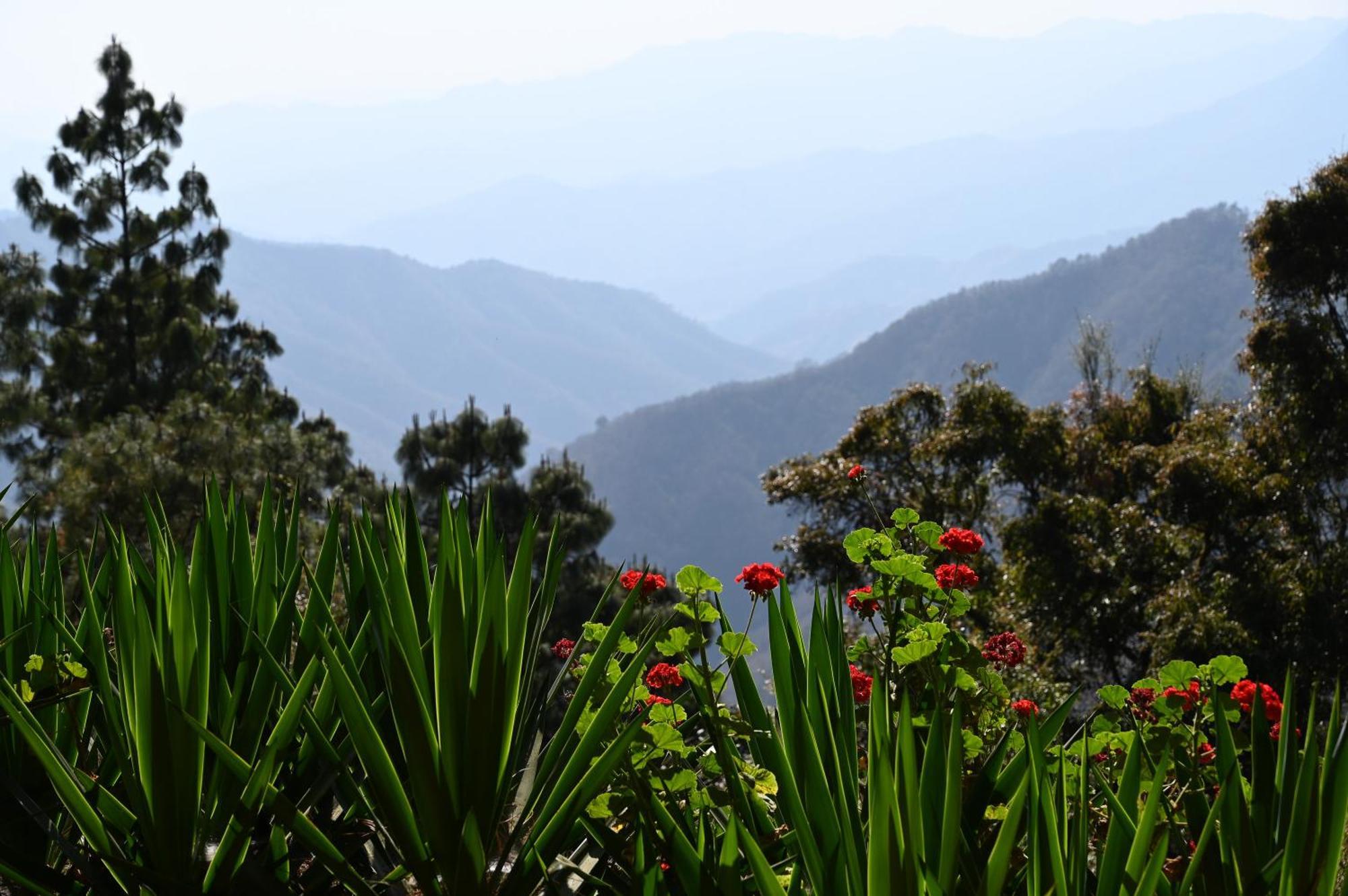San Jose Del Pacifico- Cabanas Camino Al Cielo 3 エクステリア 写真